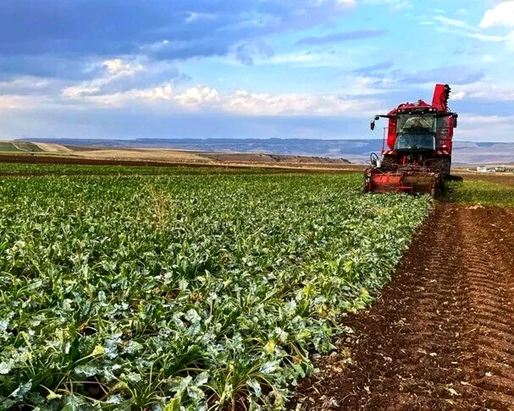 Tarımda 2027 üretim yılı biyolojik ve biyoteknik mücadele destekleri - Dosya Haber Manşet