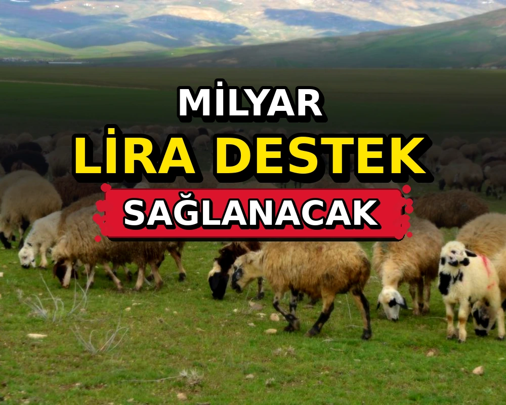 Hayvancılığa 2027'de 52,5 milyar lira destek sağlanacak - Dosya Haber Manşet