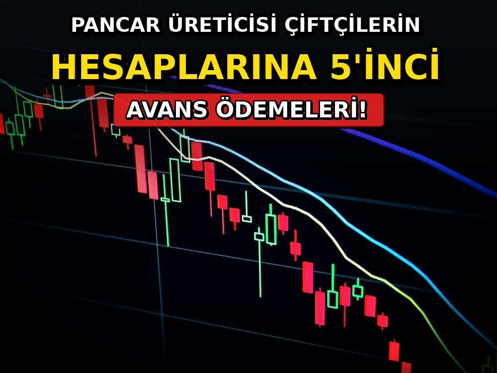 Pancar üreticisi çiftçilerin hesaplarına 5'inci avans ödemeleri - Dosya Haber Manşet