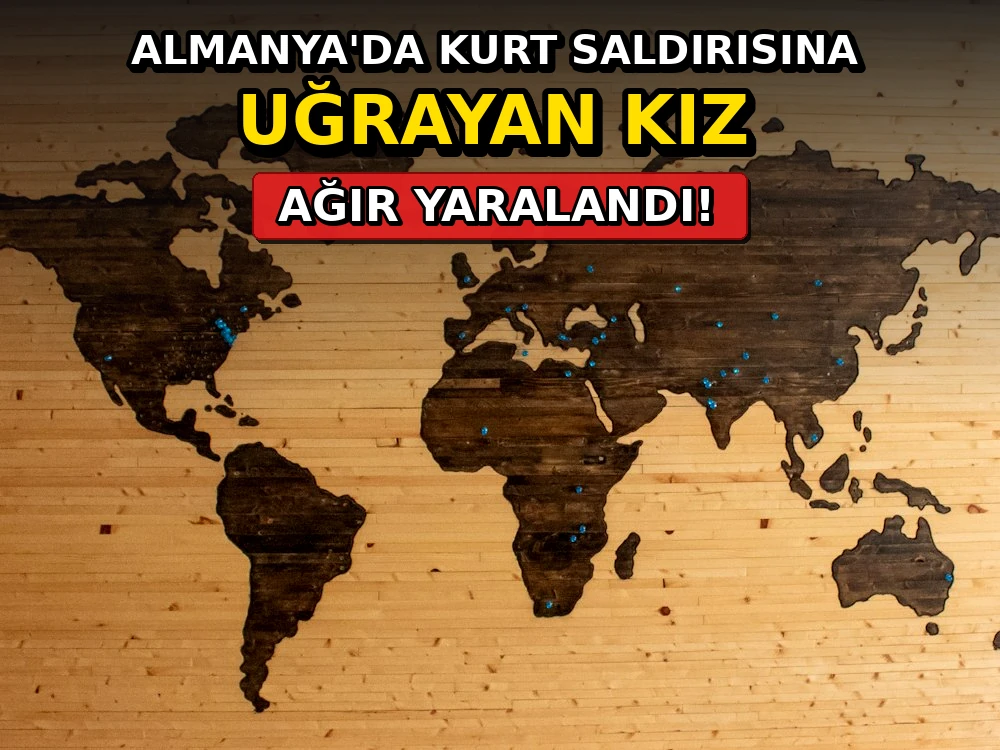 Almanya'da kurt saldırısına uğrayan kız ağır yaralandı - Dosya Haber Manşet