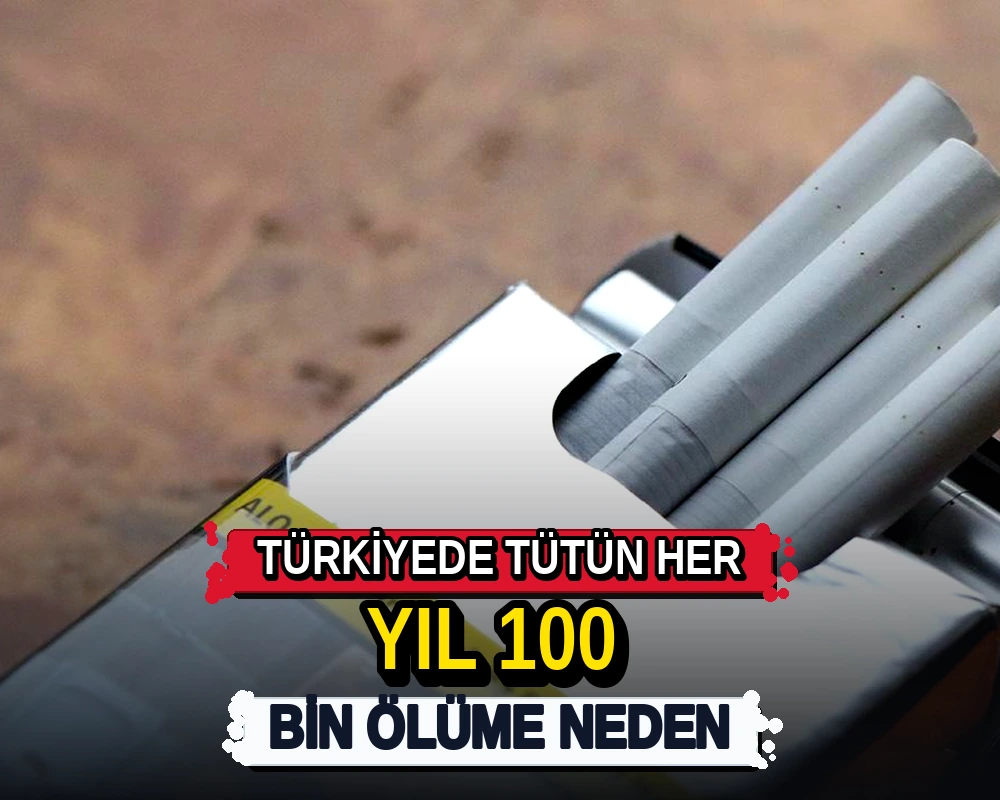 Türkiye'de tütün her yıl 100 bin ölüme neden oluyor - Dosya Haber Manşet